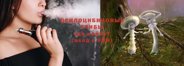 спайс Богородицк