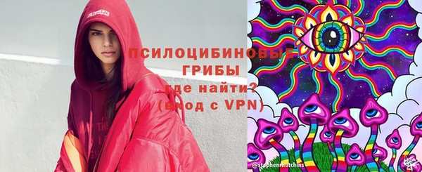 спайс Богородицк