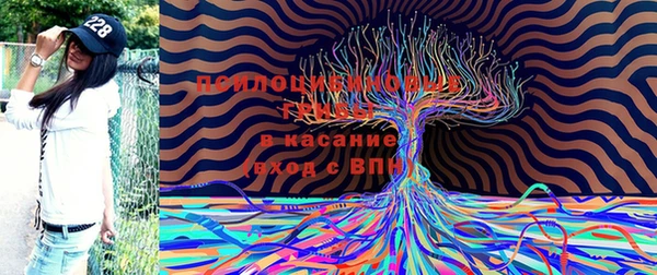 спайс Богородицк