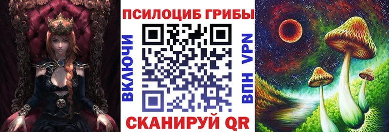 Псилоцибиновые грибы MAGIC MUSHROOMS  закладки  кракен как войти  Лыткарино 