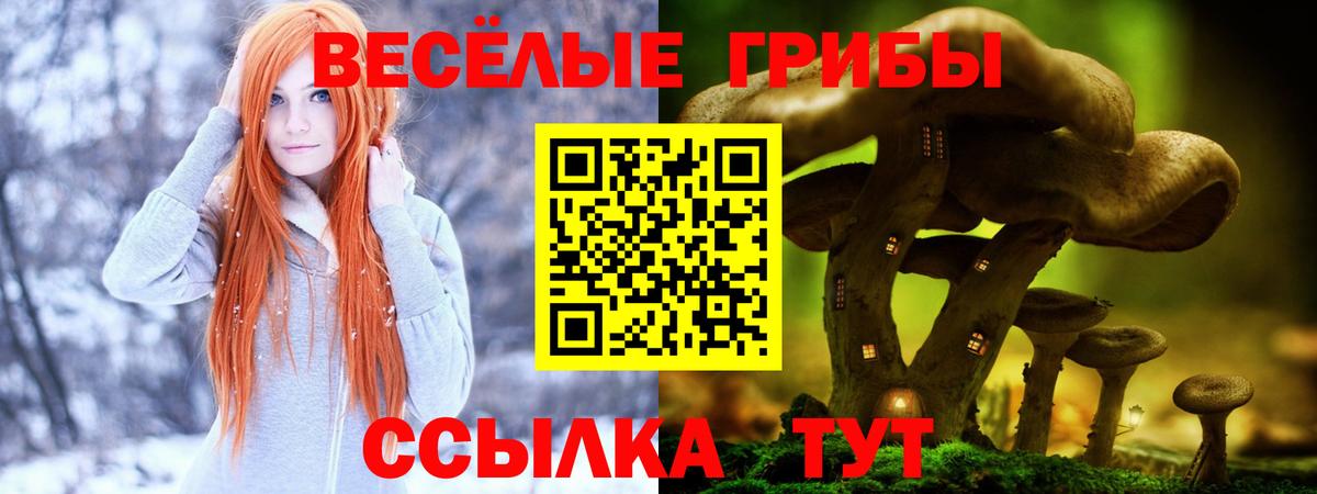 Лыткарино  Галлюциногенные грибы MAGIC MUSHROOMS  Вход с VPN  Галлюциногенные грибы ЛСД 
