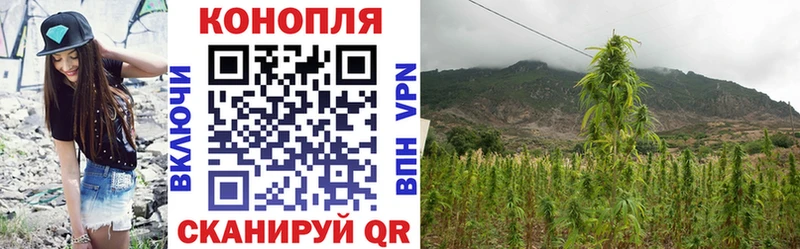 МАРИХУАНА SATIVA & INDICA  Лыткарино 